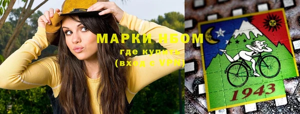 ешки Ельня