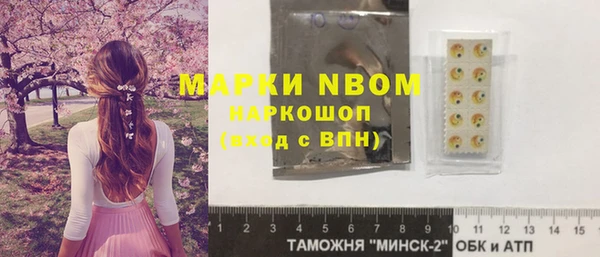 ешки Ельня